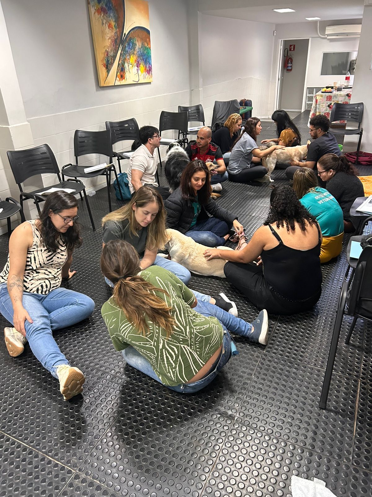 Turma sentada no chão da sala, em grupos, praticando com cães.